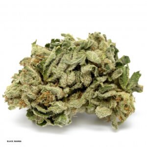 Black Mamba (AAA)