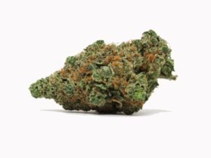 Roxanne (Indica)