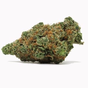 Roxanne (Indica)
