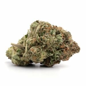 OG Shark (Indica)