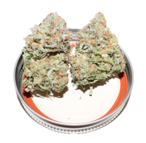 Orange Sherbert