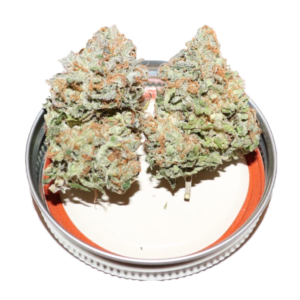 Orange Sherbert