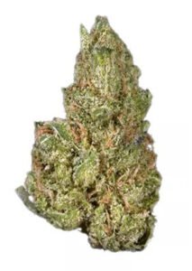 ACDC (AA)