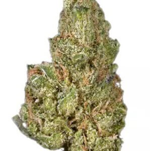 Blueberry Headband