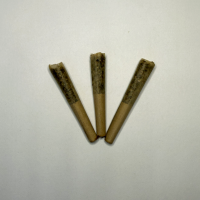 hashrocket minis infused prerolls (3×0.5 gram) various flavours